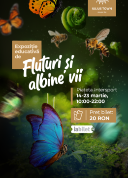 Timișoara: Expoziție Educativă de Fluturi și Albine vii