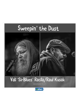 Sibiu: "SWEEPIN' THE DUST" - Handmade Blues