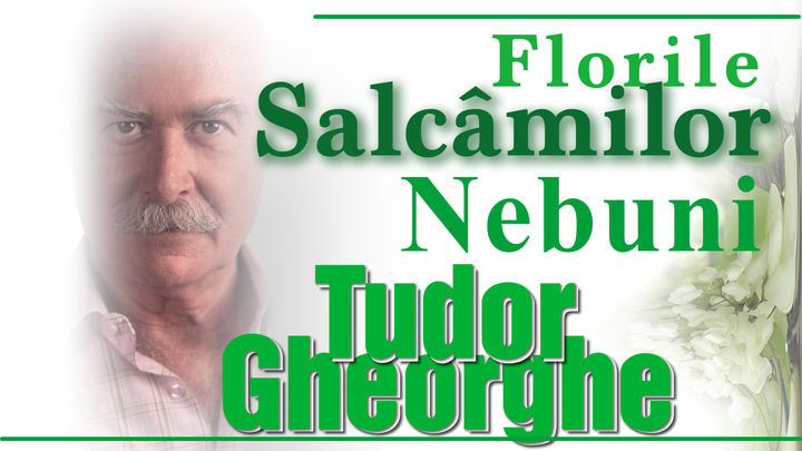 Buzau: Tudor Gheorghe: Florile Salcâmilor Nebuni