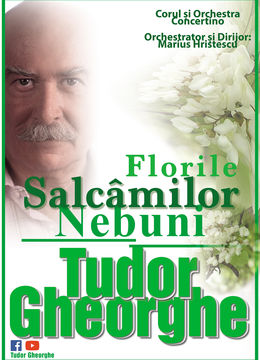 Buzau: Tudor Gheorghe: Florile Salcâmilor Nebuni