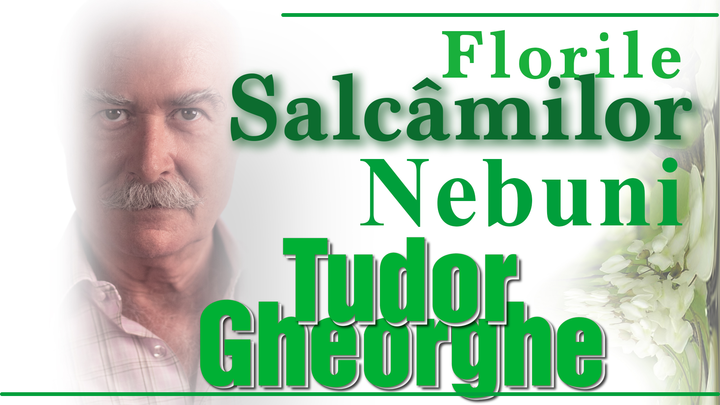 Slobozia: Tudor Gheorghe: Florile Salcâmilor Nebuni