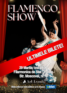 Oradea: Flamenco Show