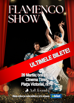 Timisoara: Flamenco Show