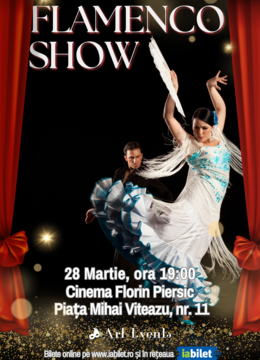 Cluj-Napoca: Flamenco Show