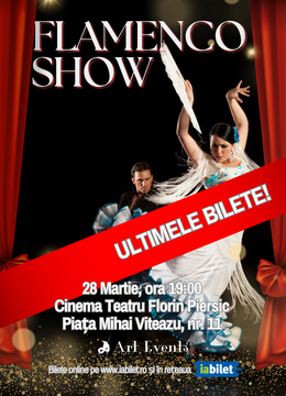 Cluj-Napoca: Flamenco Show