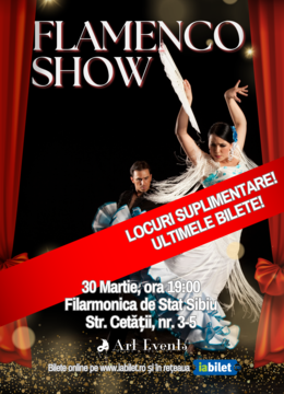 Sibiu: Flamenco Show