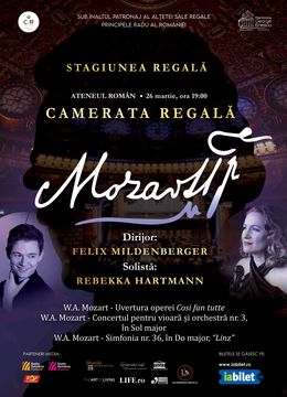 All Mozart Concert