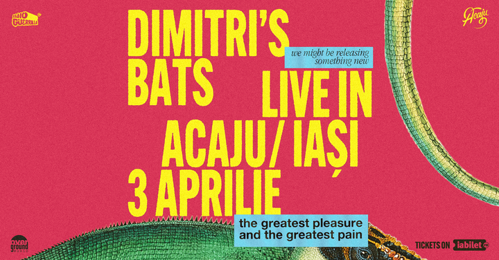 Iași: Dimitri's Bats live