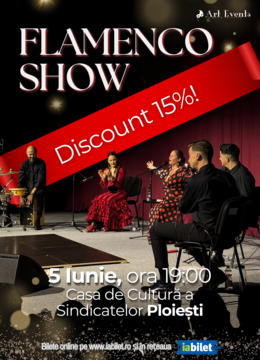 Ploiești: Flamenco Show
