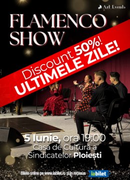 Ploiești: Flamenco Show