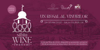 Sibiu: Wine Festival, ediția I