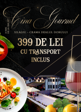Silagiu : Cina gourmet