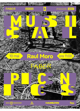 Timișoara: Musical Picnics / Raul Moro