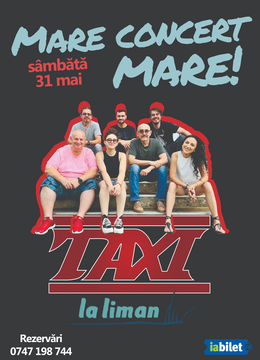 Tulcea: Concert Taxi