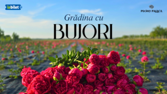 Mărginenii de Sus: Gradina cu bujori