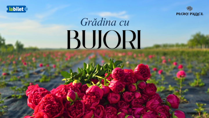 Mărginenii de Sus: Gradina cu bujori