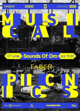 Timișoara: Musical Picnics / SoundsOfOm