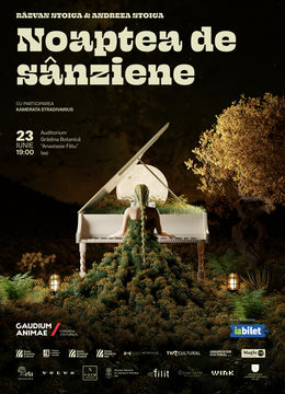 Noaptea de Sânziene