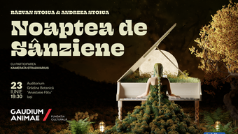 Noaptea de Sânziene