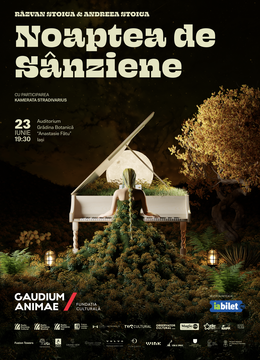 Noaptea de Sânziene