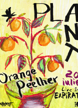 Plant & Orange Peelher