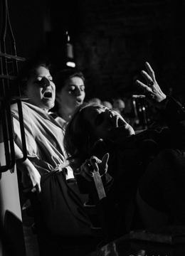 Sibiu: Monoloagele Vaginului